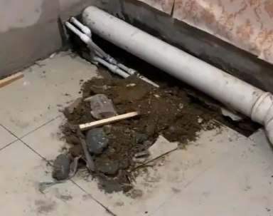 景谷卫生间漏水检测哪家好