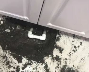 景谷查漏水哪家好